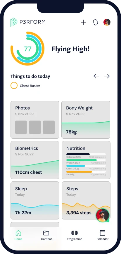 P3RFORM original application design 1